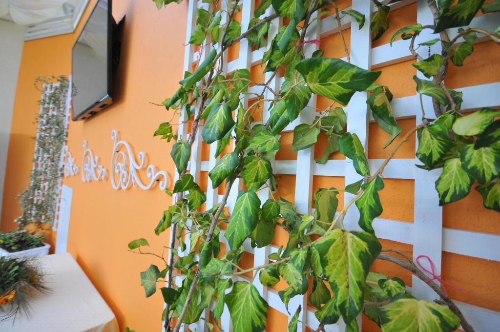 Vila Kerciku Hotel 3*